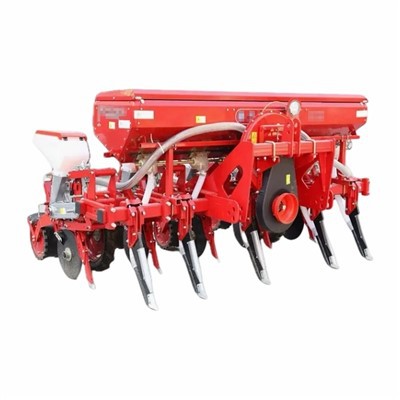 دانه دانه ذرت