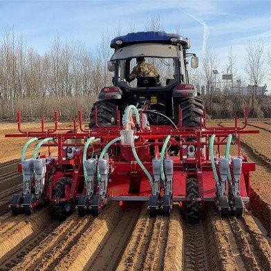 Vegetable Seeder best
